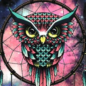 Meet your Posher, Brandy